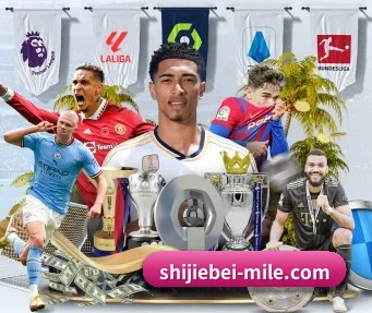 shijiebei-mile.com APP